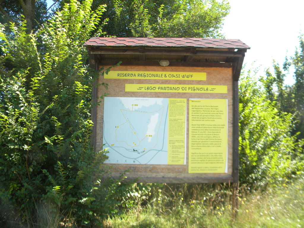 DSCN2704 .JPG